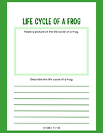 Animal Research - Frog