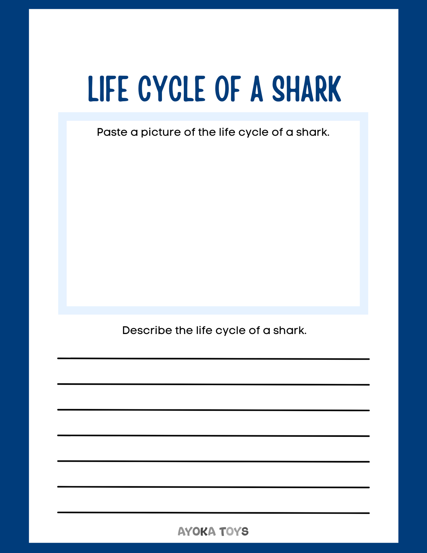 Animal Research - Shark