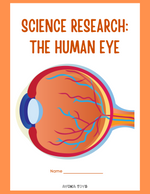 Human Body - Eye