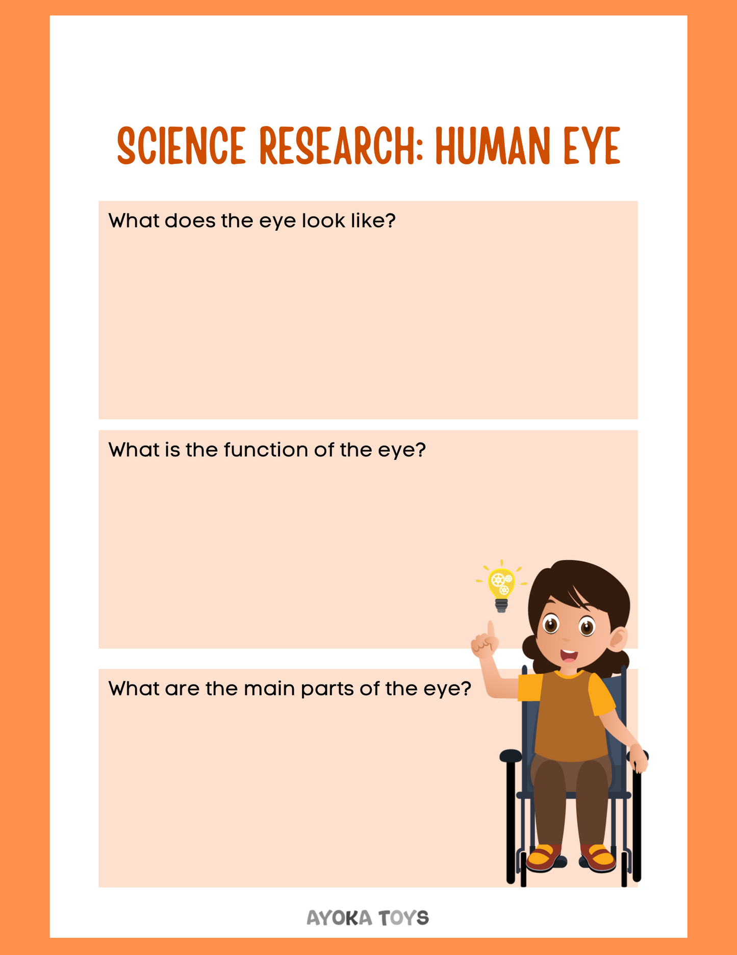Human Body - Eye