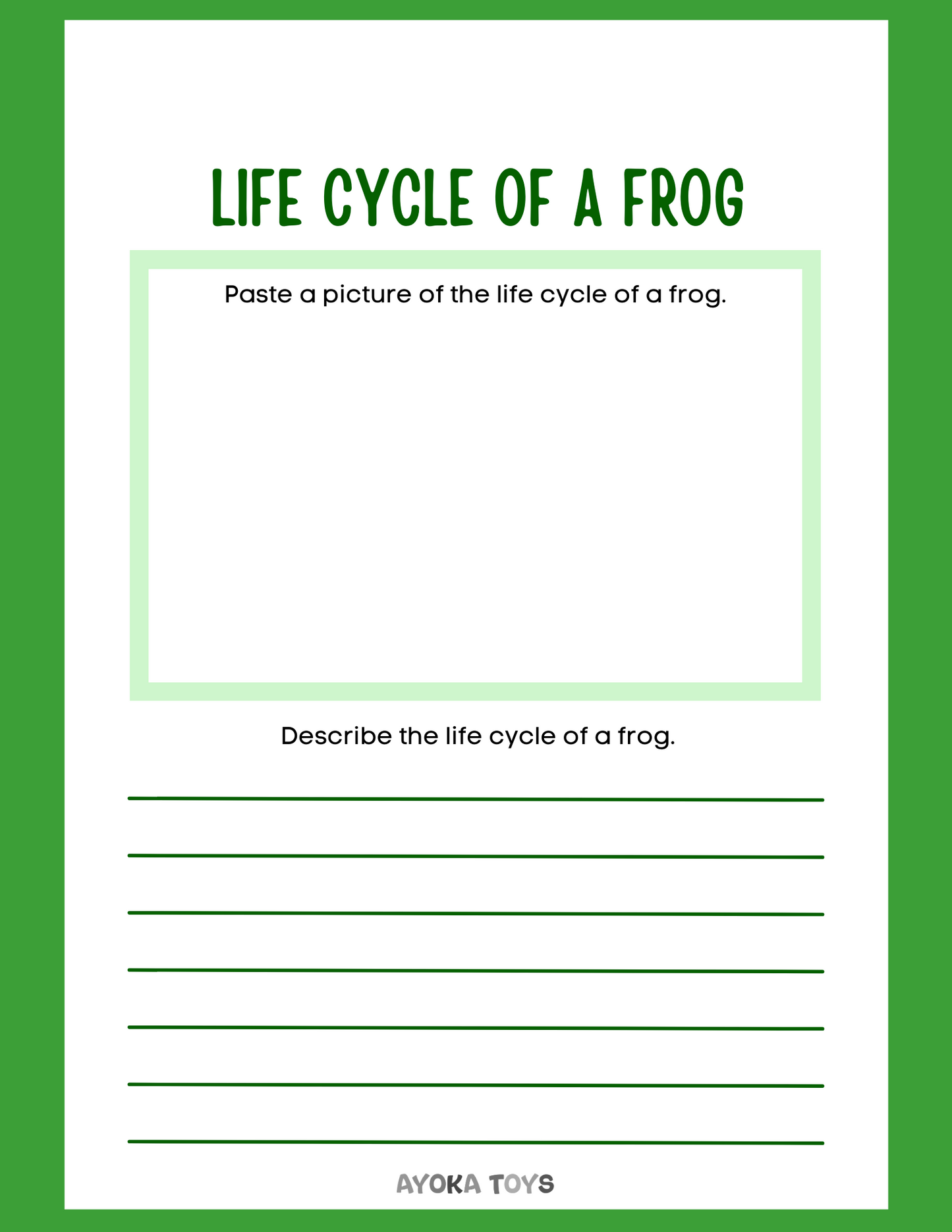 Animal Research - Frog
