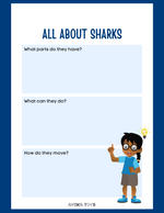 Animal Research - Shark