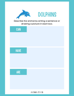 Animal Research - Dolphin