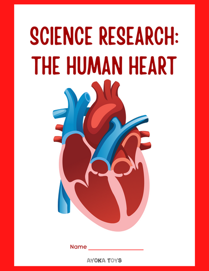 Human Body - Heart