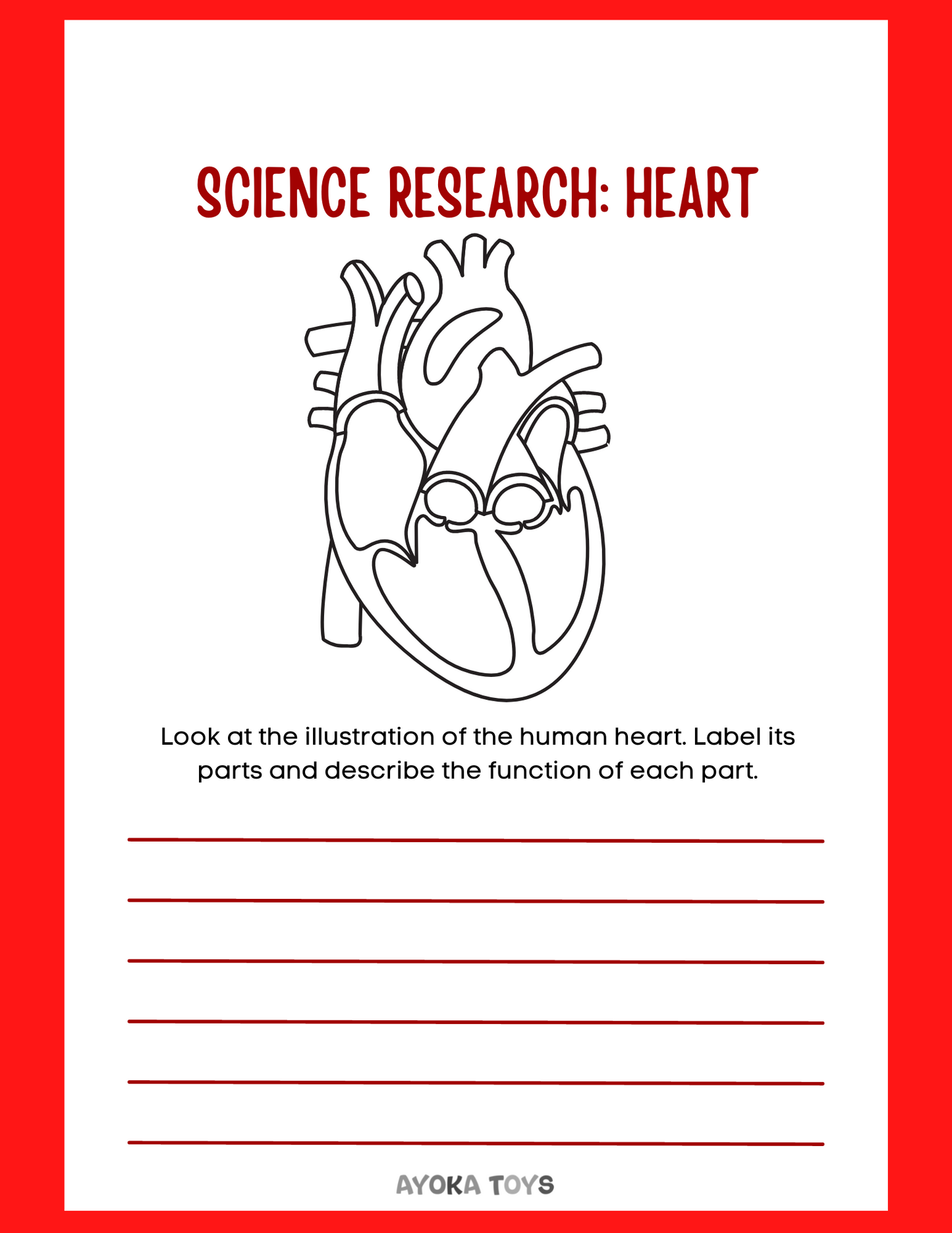 Human Body - Heart